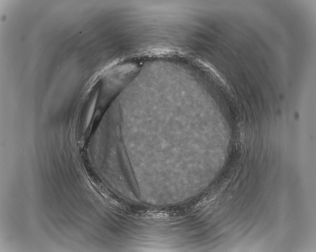 X0000087630640200705311329