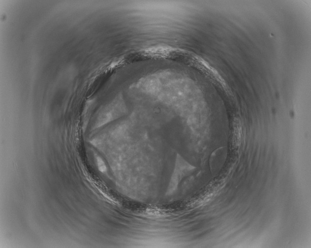 X0000087630641200705311329