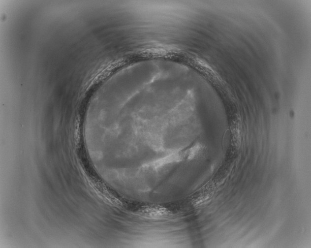 X0000087630642200705311329