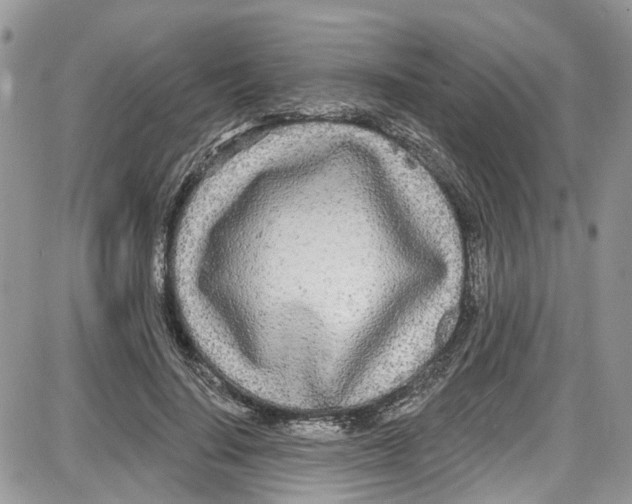 X0000087630644200705311329