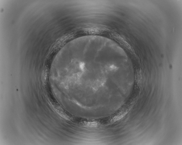 X0000087630645200705311330