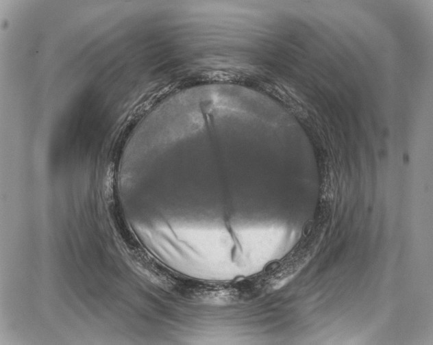 X0000087630646200705311330