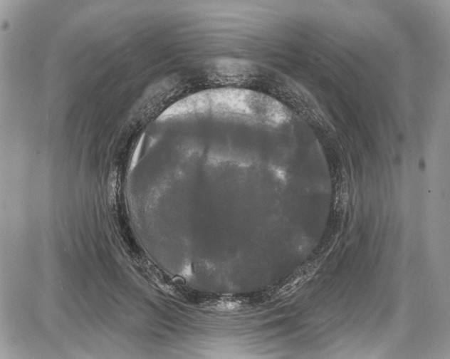 X0000087630647200705311330