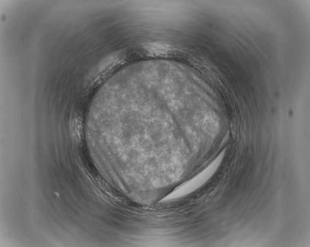 X0000087630648200705311330