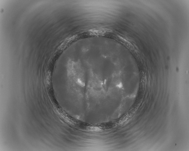 X0000087630649200705311330