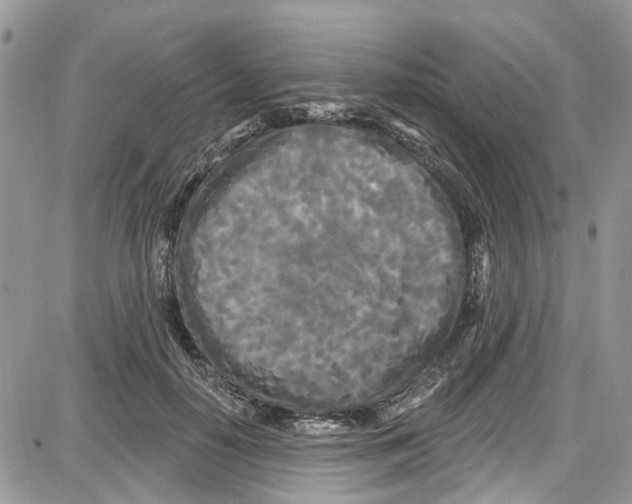 X0000087630650200705311330