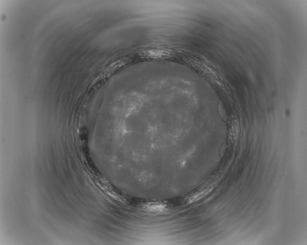 X0000087630651200705311330