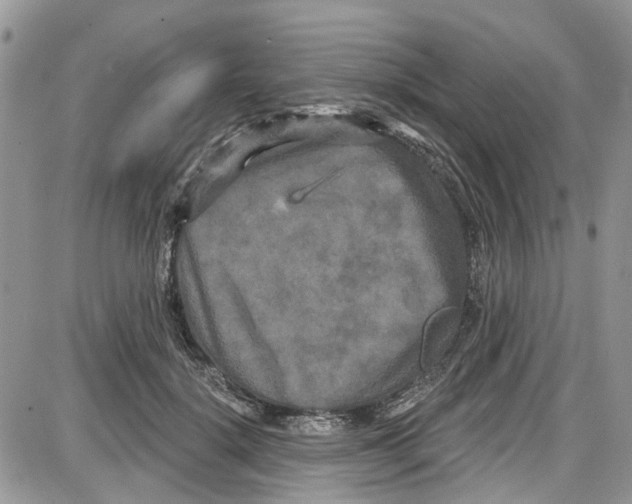 X0000087630652200705311330