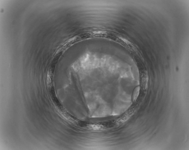 X0000087630654200705311330