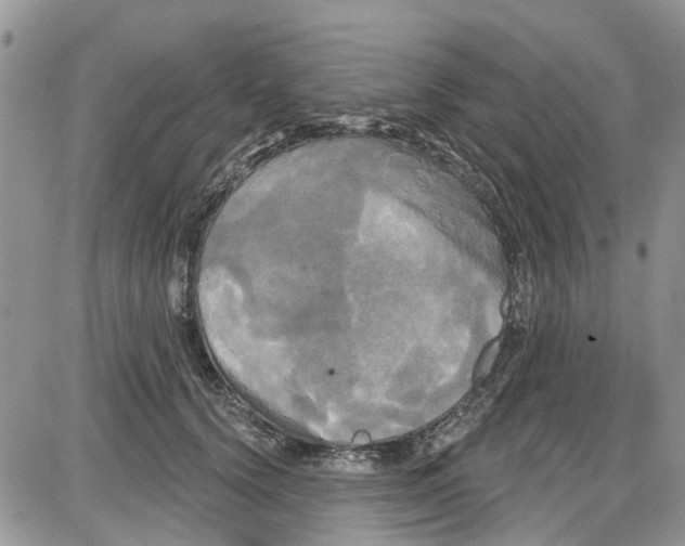 X0000087630656200705311330