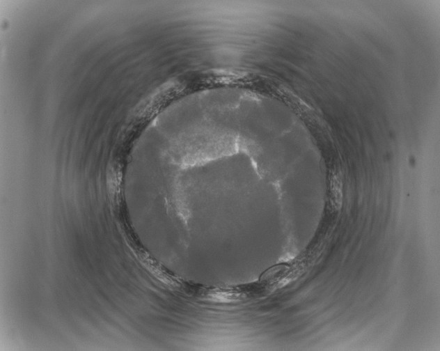 X0000087630657200705311330