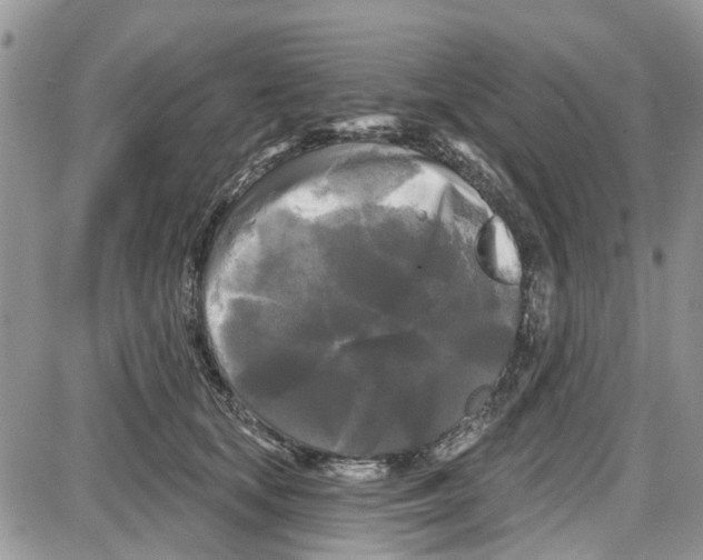 X0000087630659200705311330