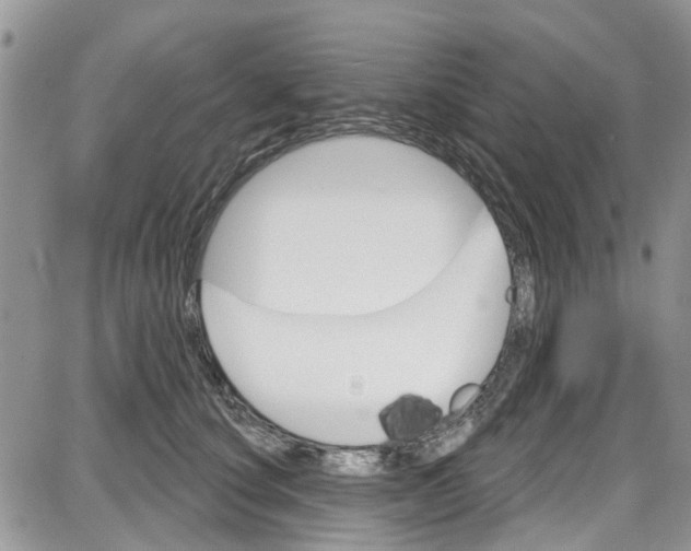 X0000087630660200705311330