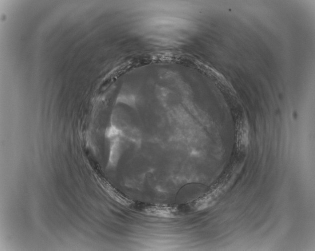 X0000087630661200705311330