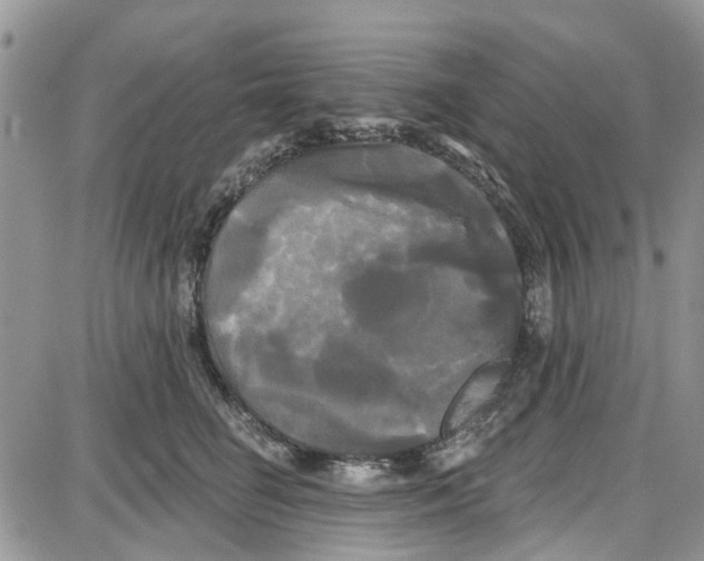 X0000087630662200705311330