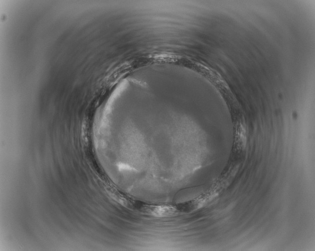 X0000087630663200705311330