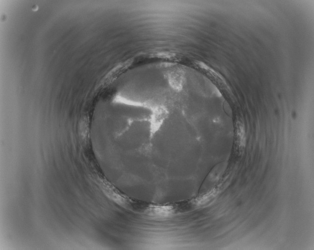 X0000087630665200705311330