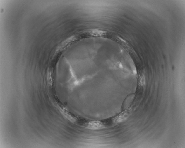 X0000087630666200705311330