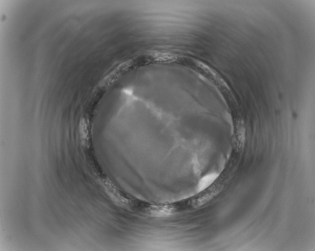 X0000087630667200705311330