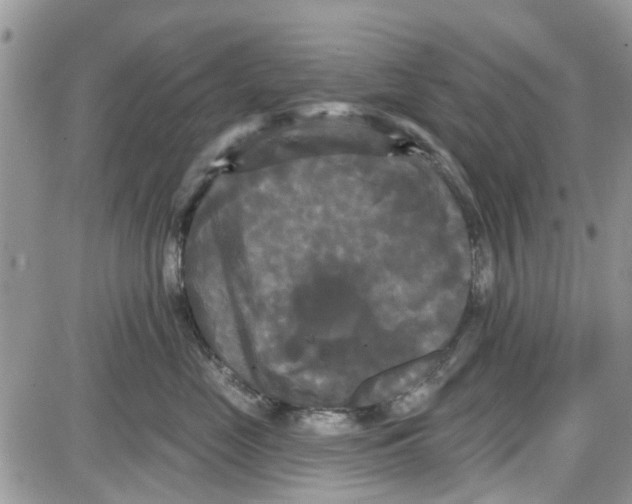 X0000087630669200705311330