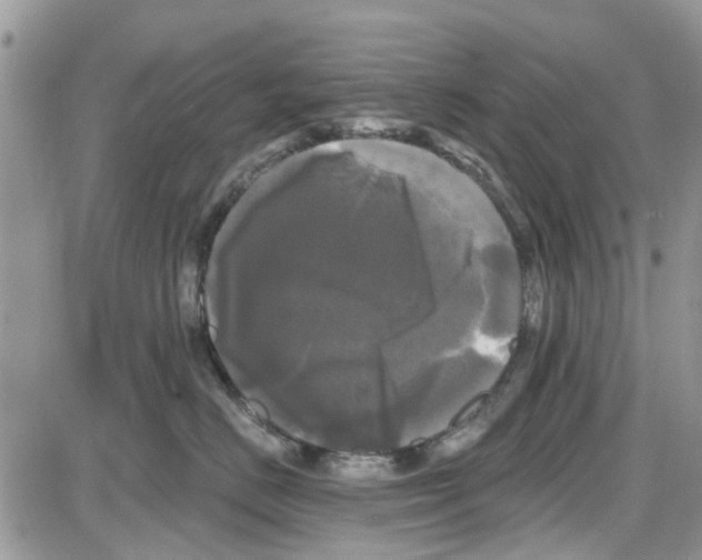 X0000087630670200705311330