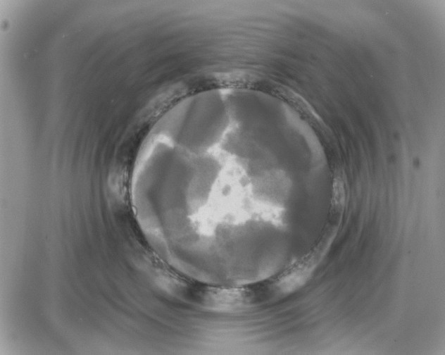 X0000087630671200705311330