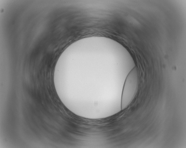 X0000087630672200705311330