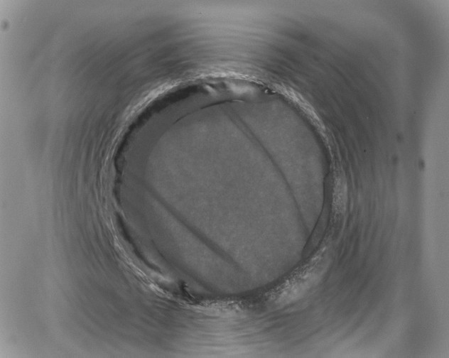 X0000087630673200705311329