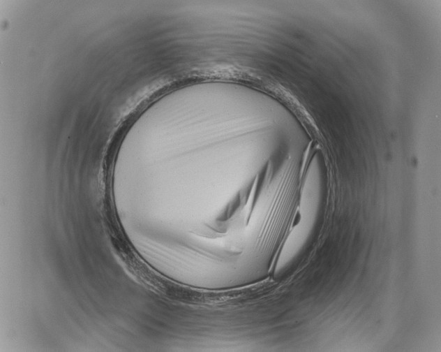 X0000087630674200705311329