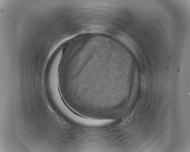 X0000087630676200705311329