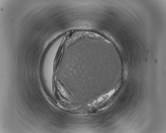 X0000087630677200705311329