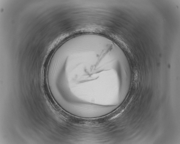 X0000087630678200705311329