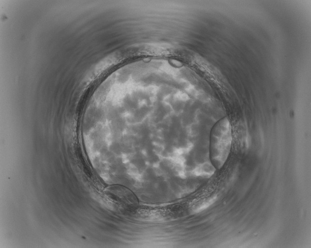 X0000087630679200705311329