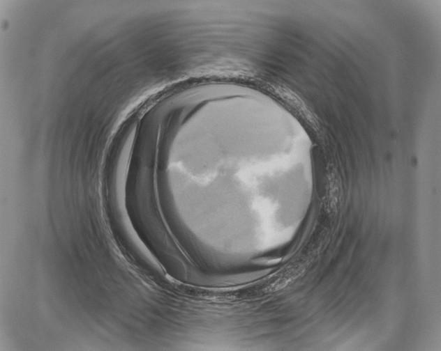 X0000087630680200705311329