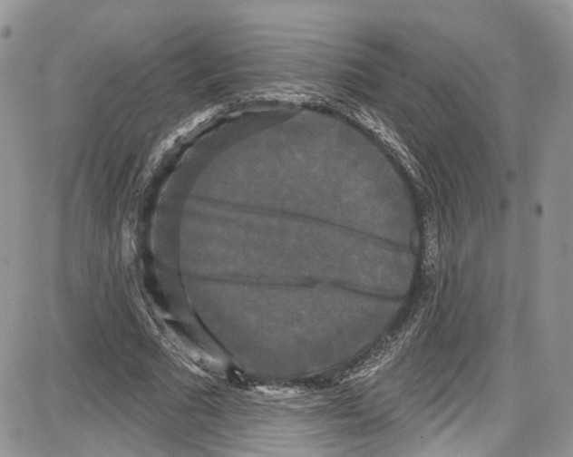 X0000087630681200705311329