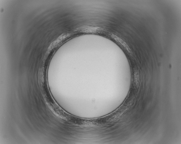 X0000087630682200705311329