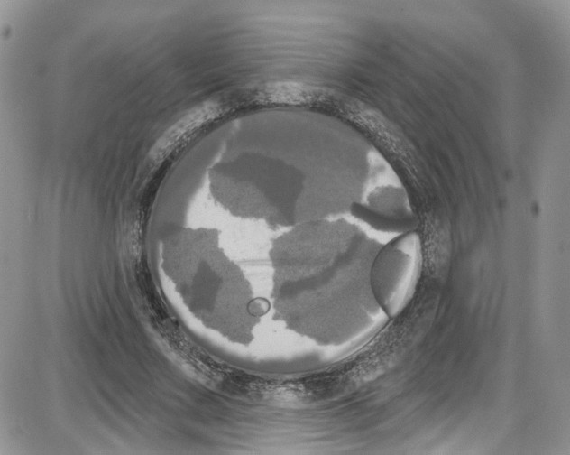 X0000087630683200705311329