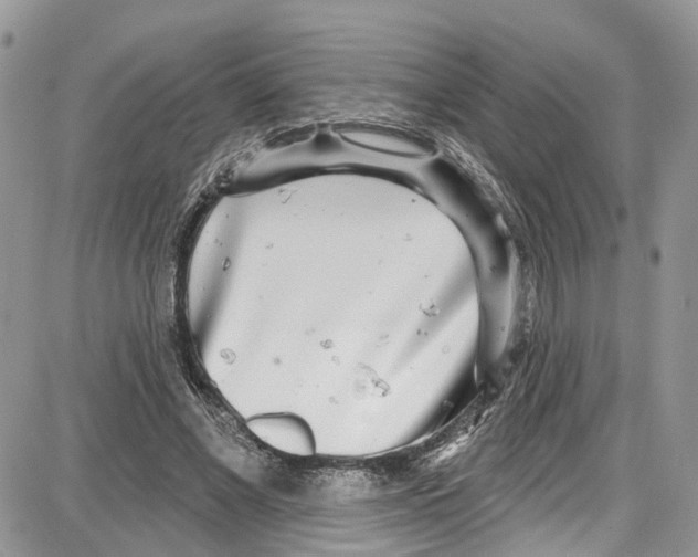 X0000087630685200705311329