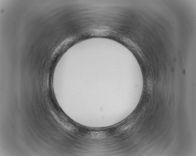 X0000087630686200705311329