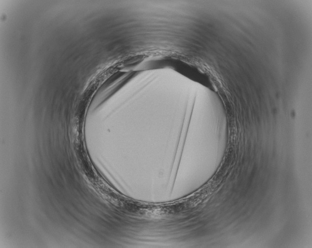 X0000087630688200705311329