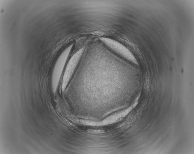 X0000087630689200705311329