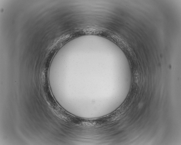 X0000087630690200705311329