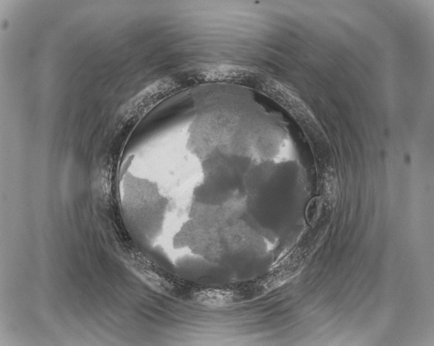 X0000087630691200705311329