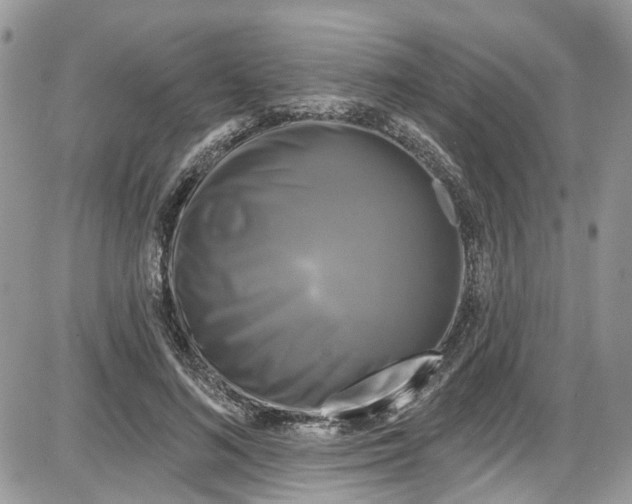 X0000087630692200705311329