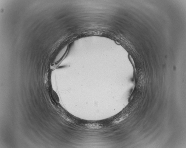 X0000087630693200705311329