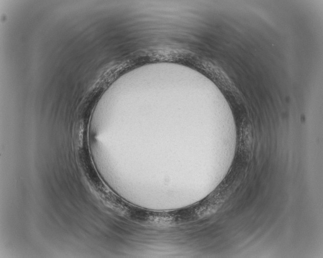 X0000087630694200705311329