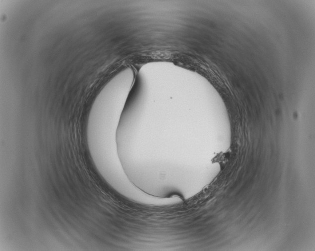 X0000087630697200705311329