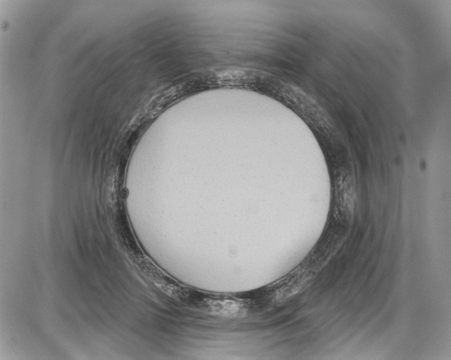 X0000087630698200705311329