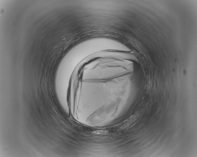 X0000087630700200705311329