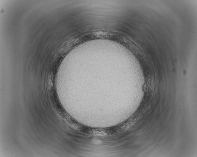 X0000087630702200705311329